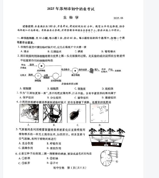 1750067557291.png